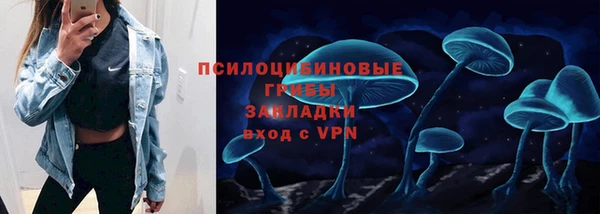 скорость Липки