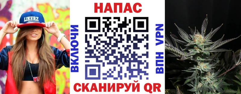 Марихуана сатива Купить где Любань